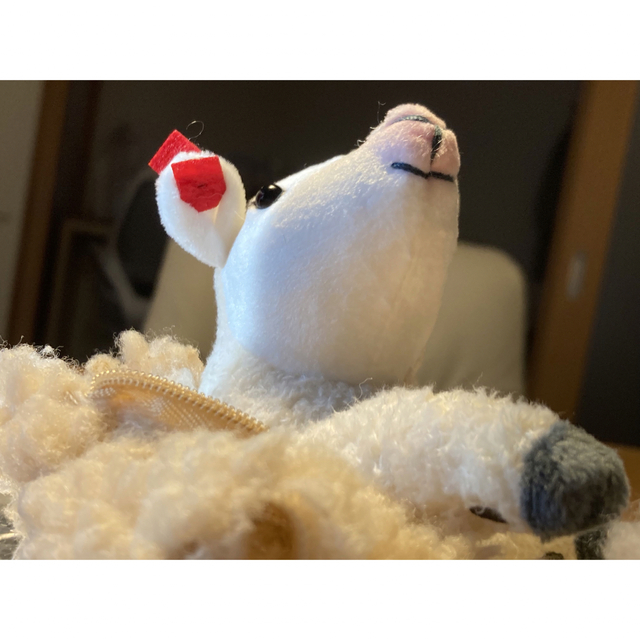羊のぬいぐるみ♫　毛刈り体験 耳に赤タグ　もこもこ毛皮を脱がして丸裸に？！ エンタメ/ホビーのおもちゃ/ぬいぐるみ(ぬいぐるみ)の商品写真