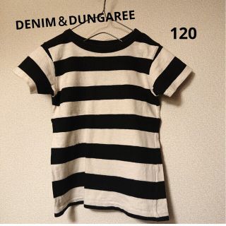 デニムダンガリー(DENIM DUNGAREE)の《DENIM & DUNGAREE》ボーダー Tシャツ(Tシャツ/カットソー)