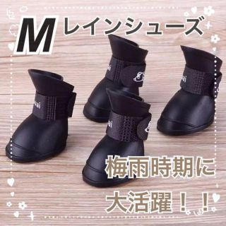 わんちゃん用　レインシューズ【Mサイズ】【ブラック】 犬服 犬の服 ドッグウェア(犬)