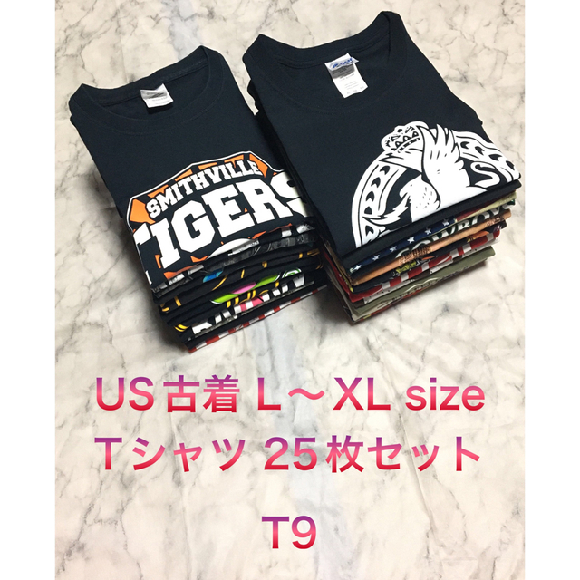 【レア】US L〜XL sizeビッグサイズ Tシャツ 25枚セット超特価