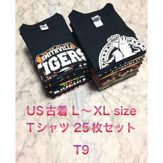 ヘインズ(Hanes)の【レア】US古着 L〜XL sizeビッグサイズ Tシャツ 25枚セット超特価(Tシャツ/カットソー(半袖/袖なし))