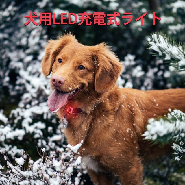 【色: Blue-2P】犬の散歩ライトUMIONE防水ルビーライトダイヤモンド反