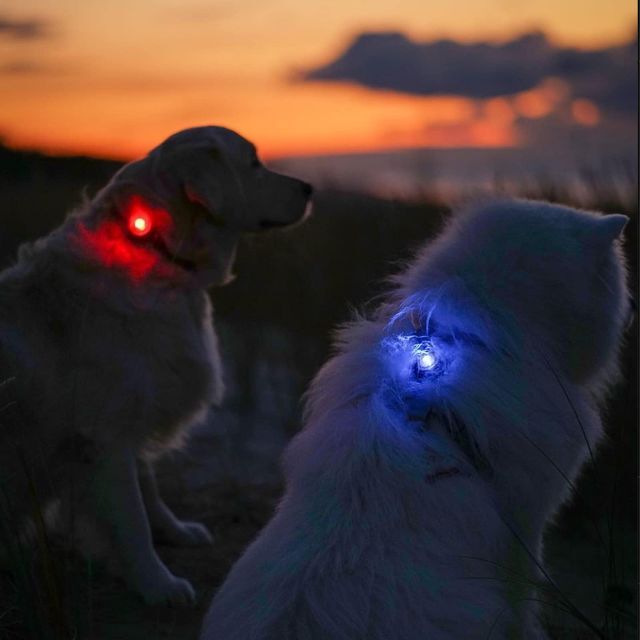 【色: Blue-2P】犬の散歩ライトUMIONE防水ルビーライトダイヤモンド反