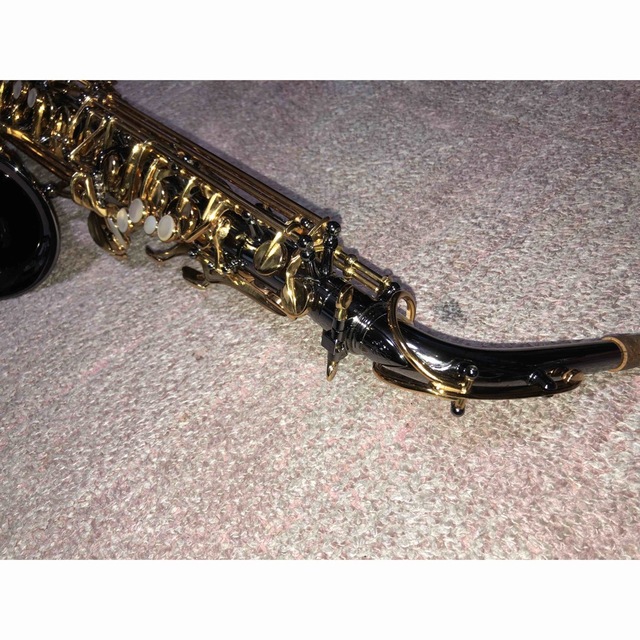 FORESTON GX アルトサックス　ブラックニッケル 楽器の管楽器(サックス)の商品写真