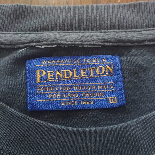 PENDLETON(ペンドルトン)のPendleton ペンドルトン　Tシャツ　Ｌ　古着 メンズのトップス(Tシャツ/カットソー(半袖/袖なし))の商品写真