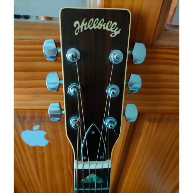 Hillbillyアコースティックギター 楽器のギター(アコースティックギター)の商品写真