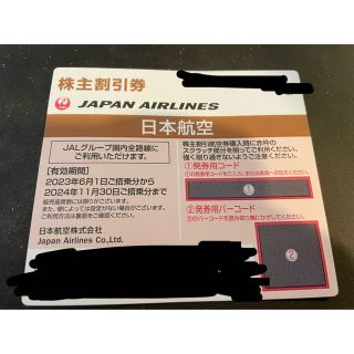 ジャル(ニホンコウクウ)(JAL(日本航空))のJAL 国内線　株式優待　半額(航空券)