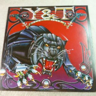 Y&T/BLACK　TIGER　日本盤　LPレコード　帯なし(ポップス/ロック(洋楽))