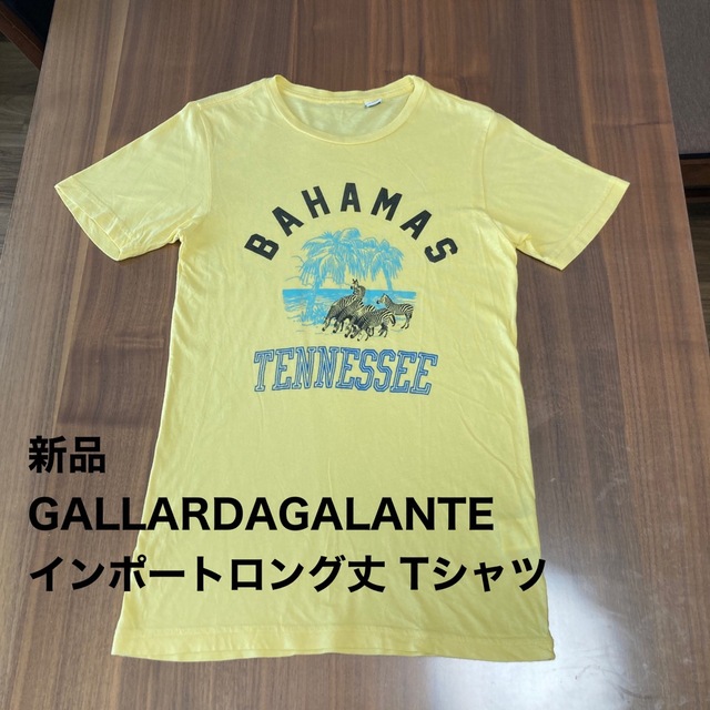 新品 GALLARDAGALANTE RXMANCE ロング丈 Tシャツ