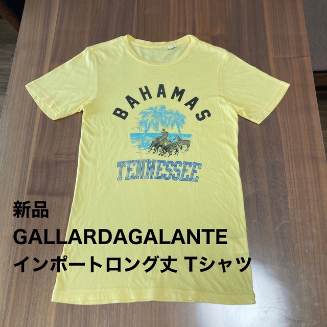 GALLARDA GALANTE(ガリャルダガランテ)の新品 GALLARDAGALANTE RXMANCE ロング丈 Tシャツ レディースのトップス(Tシャツ(半袖/袖なし))の商品写真