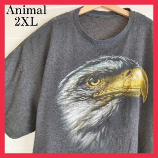 アニマル柄 イーグル 鷲 動物 プリントTシャツ tシャツ アート US古着(Tシャツ/カットソー(半袖/袖なし))