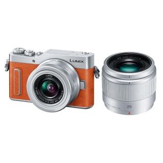 パナソニック(Panasonic)のパナソニック ミラーレス一眼カメラ DC-GF10W ダブルレンズキット(ミラーレス一眼)