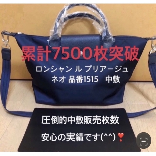 LONGCHAMP(ロンシャン)のロンシャン ル  プリアージュ   ネオM 品番1515 中敷 中敷き 底板 レディースのバッグ(トートバッグ)の商品写真