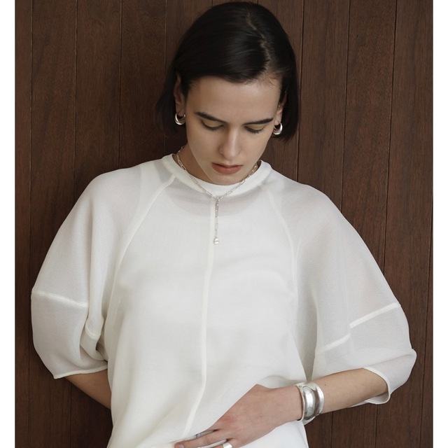 CLANE  MESH FORM SLEEVE BLOUSE