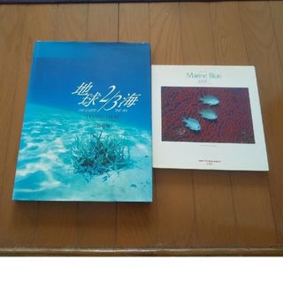 地球2/3海"DIVER'S HIGH"、 Marine Blue(趣味/スポーツ/実用)