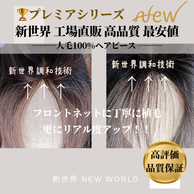 がん★プレミアシリーズ★6月最新入荷新世界ヘアピース★16*16総手植46～50cm