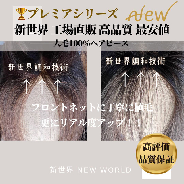 ☆プレミアシリーズ☆6月最新入荷新世界ヘアピース☆12*14総手植45