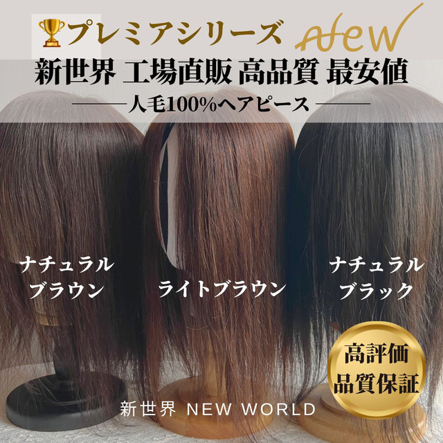 ☆プレミアシリーズ☆6月最新入荷新世界ヘアピース☆12*14総手植45 ...