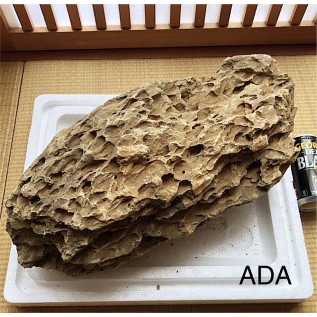 ADA 巨大黄虎石【希少】11kg巨岩親石 美形 気孔石