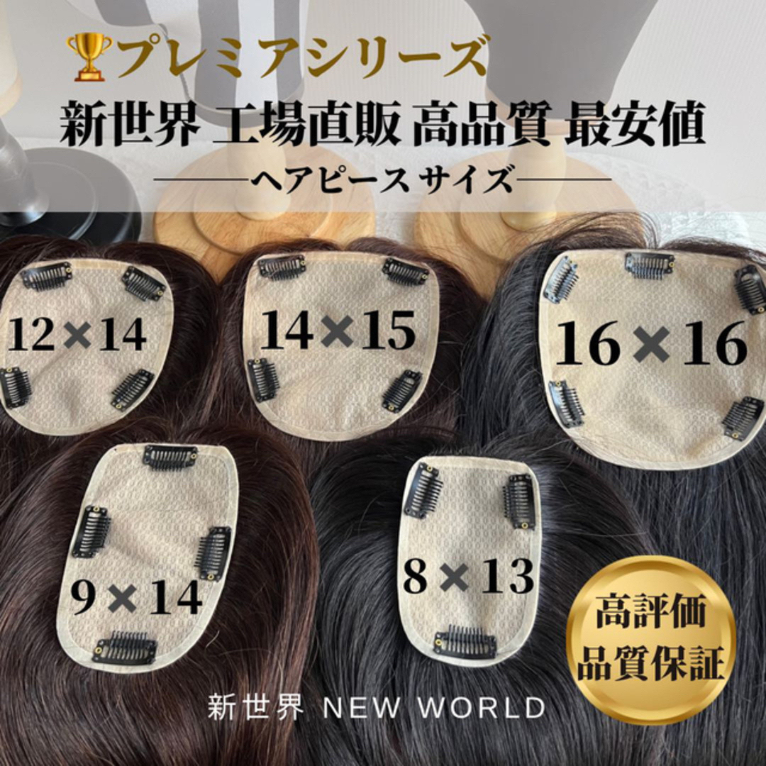 新世界ヘアピース8*13最長35〜36cm プレミア絶対バレないシリーズの