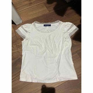 エムズグレイシー(M'S GRACY)のエムズグレイシー　Tシャツ(カットソー(半袖/袖なし))