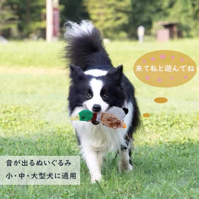 【在庫処分】ペット 犬おもちゃ 音の出るおもちゃ 鴨 ぬいぐるみ製 犬噛むおもち