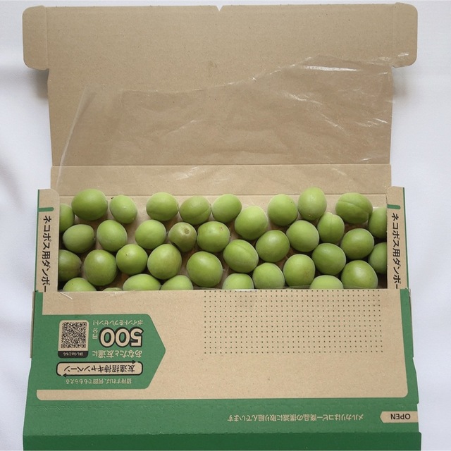 期間限定】青梅 無農薬 箱込み1kg弱の通販 by 本ともの|ラクマ 手もぎ梅 SML 混合 ネコポス箱込み1kg 35年以上無農薬栽培