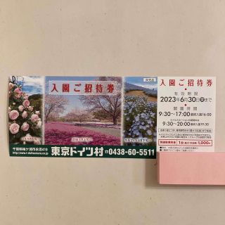 最新 東京ドイツ村 入場ご招待券 2023年6月30日迄 1枚 割引券　優待券(遊園地/テーマパーク)