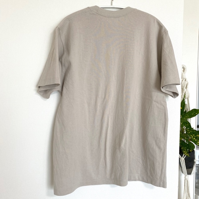 DANTON(ダントン)の美品　ダントン　Tシャツ　36サイズ レディースのトップス(Tシャツ(半袖/袖なし))の商品写真