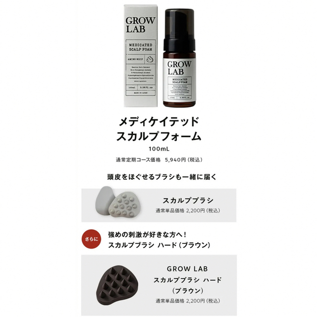 N organic(エヌオーガニック)のGROW LAB グロウラボ　メディケイテッドスカルプフォーム&スカルプブラシ コスメ/美容のヘアケア/スタイリング(スカルプケア)の商品写真