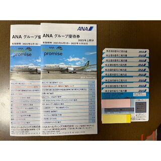 最新　ANA（全日本空輸）の株主優待券【9枚】セット(その他)