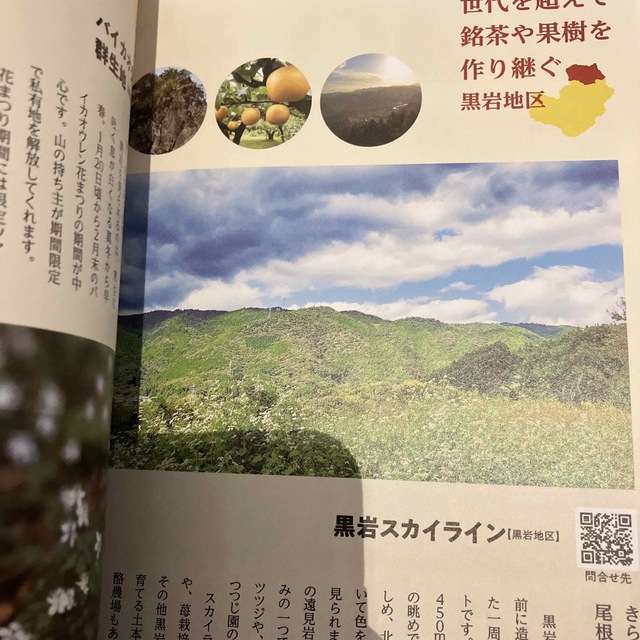 さかわダイアリー エンタメ/ホビーの本(地図/旅行ガイド)の商品写真