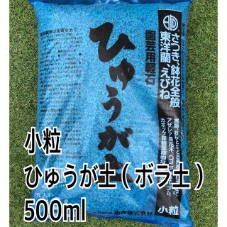 ひゅうが土小粒500ml(その他)