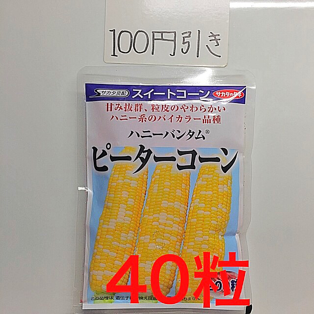 トウモロコシ ピーターコーンの種 40粒 食品/飲料/酒の食品(野菜)の商品写真