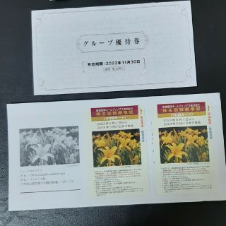 阪急阪神　株主優待　乗車証 60回(30回×2枚)(鉄道乗車券)