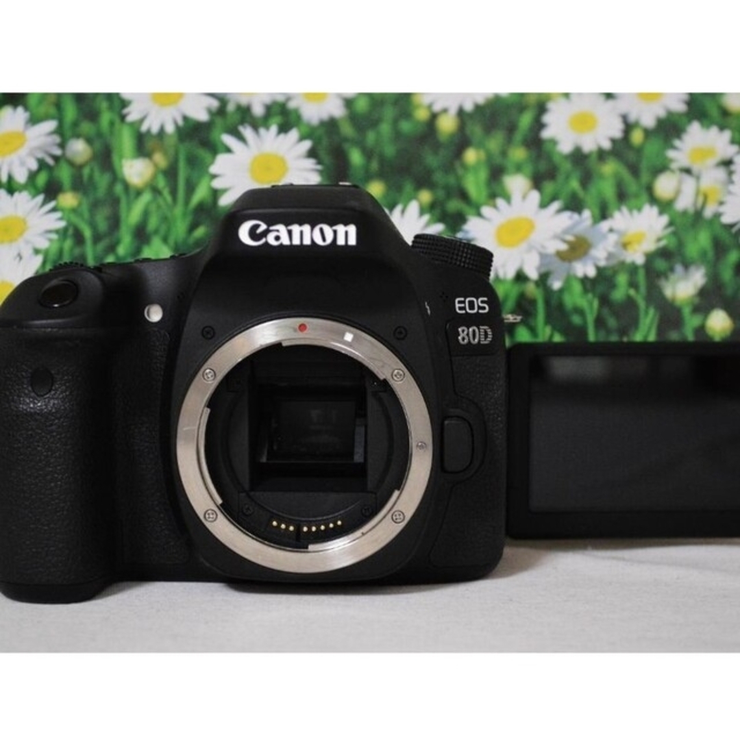 状態◎、ダブルレンズの大満足セット❤️Canon EOS 80D