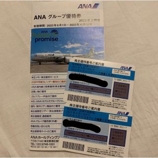 エーエヌエー(ゼンニッポンクウユ)(ANA(全日本空輸))のANA 株主優待券　2枚(その他)