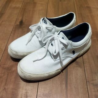 ポロラルフローレン(POLO RALPH LAUREN)のPOLO RALPH LAUREN ポロ 靴 スニーカー（箱なし）(スニーカー)