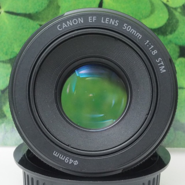 【美品】キヤノン EF50mm 単焦点 STMで動画もバッチリ♪ 神レンズ