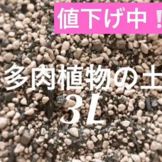 値下げ中❣️多肉植物　サボテンの土　約3リットル 即購入歓迎❣️(その他)