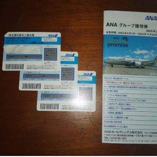 エーエヌエー(ゼンニッポンクウユ)(ANA(全日本空輸))のANA 全日空 ｜株主優待券｜3枚セット(航空券)