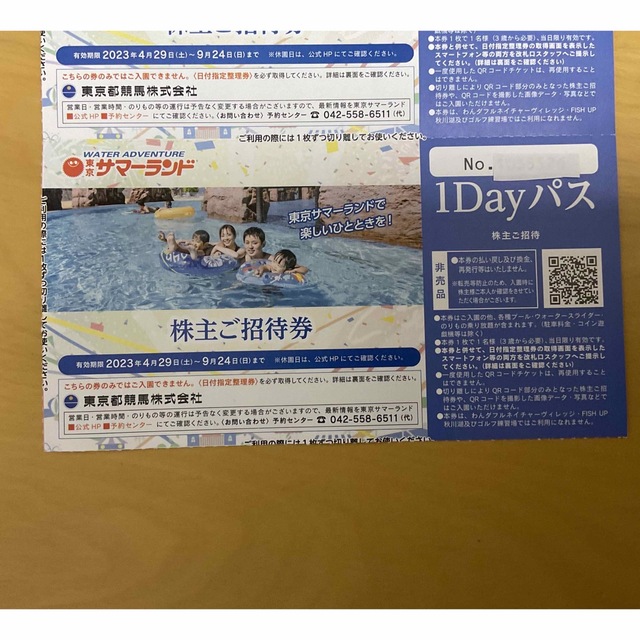 東京都競馬 株主優待 東京サマーランド1Dayパス2枚セット。7月8月も利用可