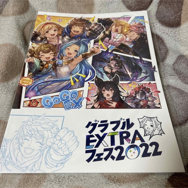 グランブルーファンタジー グラブル グラフェス グラブルフェス パンフレット エンタメ/ホビーの本(アート/エンタメ)の商品写真