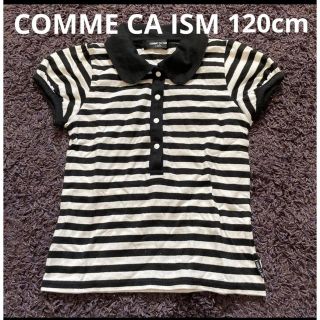 コムサイズム(COMME CA ISM)のCOMME CA ISM 120cm ボーダーポロシャツ(Tシャツ/カットソー)