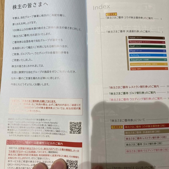 西武ホールディングス　株主優待券 チケットの優待券/割引券(その他)の商品写真