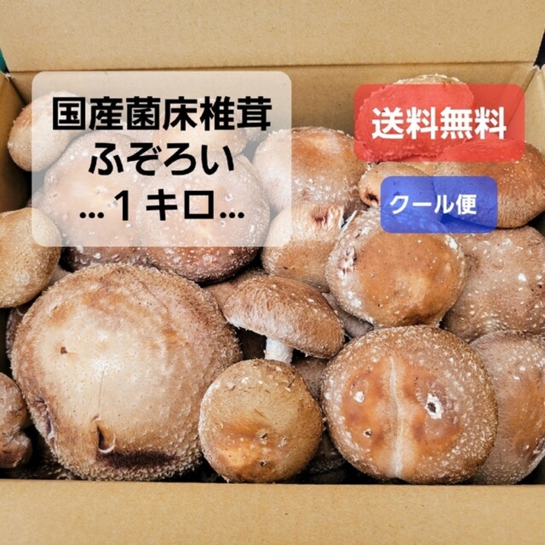 国産菌床椎茸【クール便】ふぞろい１キロ 食品/飲料/酒の食品(野菜)の商品写真