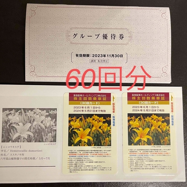 阪急阪神阪急阪神ホールディングス の株主優待　乗車証 60回分(30回×2枚)