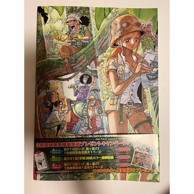 ワンピース　COLOR WALK TIGER エンタメ/ホビーの漫画(イラスト集/原画集)の商品写真