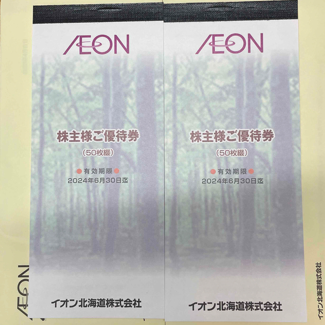 イオン北海道 株主優待券 10000円分