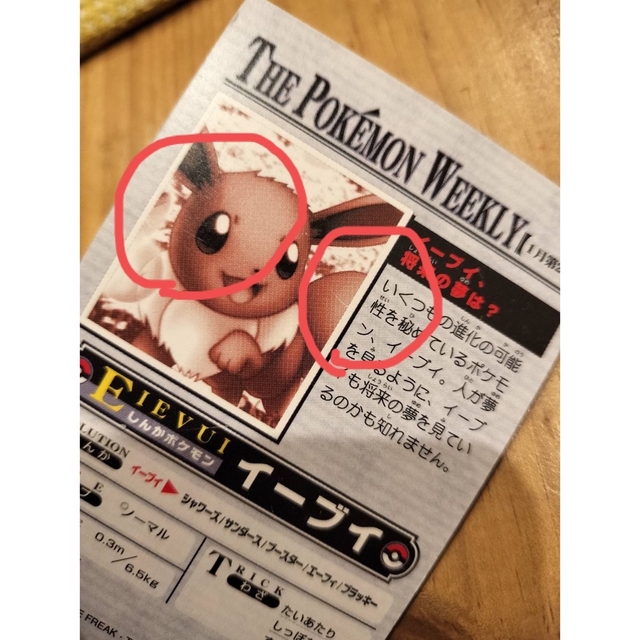 The Pokemon Weekly No,2　「イーブイ、将来の夢は？」